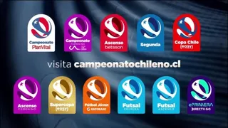 Campeonato Nacional estrenó logo y sitio oficial