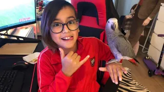 Hijo de Arturo Vidal presentó a su “Chimuelo” en redes sociales