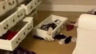 Así quedó la casa de Franck Ribery en Florencia tras robo