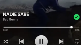 Cristian Garin alucinó con el nuevo álbum de Bad Bunny