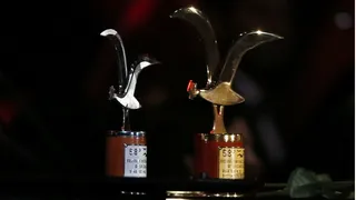 Igor y Sergei pidieron la gaviota por su mediocre rutina de humor en los Hijos de Putin