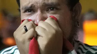 Hinchas de Palmeiras se olvidaron de medidas sanitarias para celebrar el título de la Libertadores