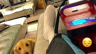 El misterio de los cuadros de un lesionado Alexis Sánchez