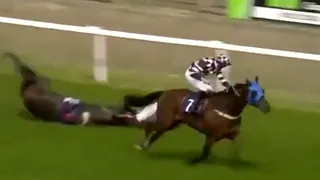 Fatal caída durante carrera generó cierre del Hipódromo de Yarmouth en Inglaterra