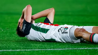 Palestino se va con dolor de la Sudamericana: Sufre otra goleada y un global demoledor