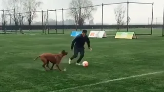 ¡Un todo terreno! El tierno “entrenamiento” de Alexis con Atom y la mascota de Mayte