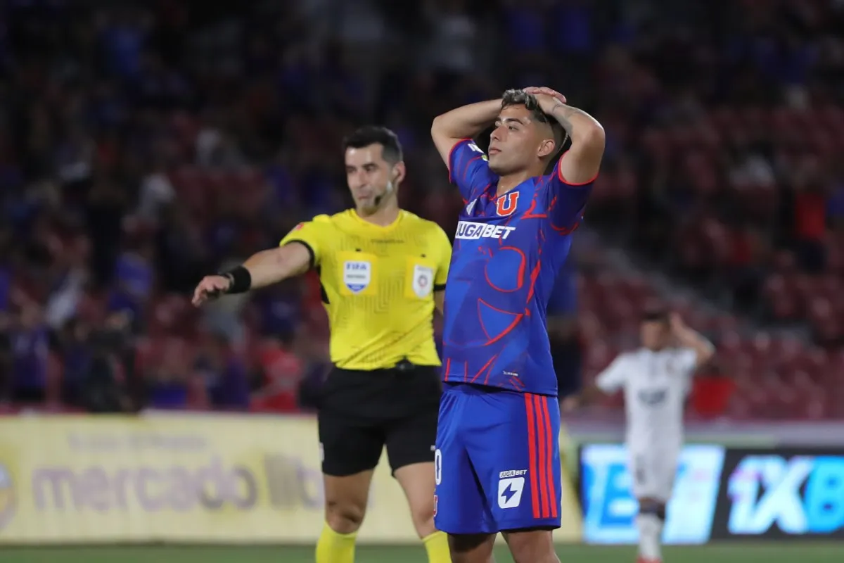 assadi bajo nivel u de chile