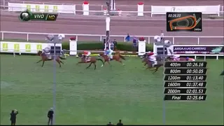 La carrera que consagró a Color Rosa como ganadora de El Ensayo 2016