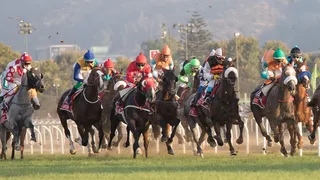 Valparaíso Sporting anunció regreso de la hípica “sin público general”