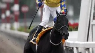 El St. Leger fue para “Hakassan” en el Hipódromo Chile