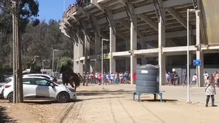 Hinchas de la UC causaron incidentes en Sausalito antes del duelo con Everton