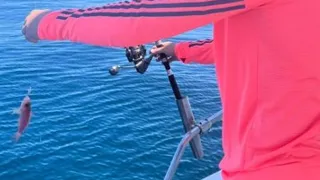 Relajo total: Ben Brereton Díaz salió a pescar junto a su novia Kimberley Abbott