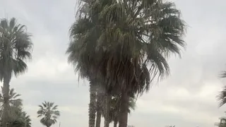 Leonardo Valencia dejó Colo Colo y se transformará en refuerzo de La Serena