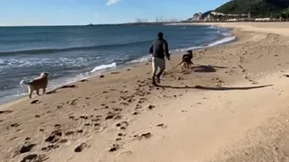 ¿En Barcelona? Alexis Sánchez disfruta junto a Atom y Humber en las playas del Mediterráneo