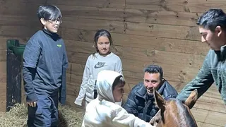 Hijos de Arturo Vidal presenciaron parto de una yegua de cría en el Haras Il Campione