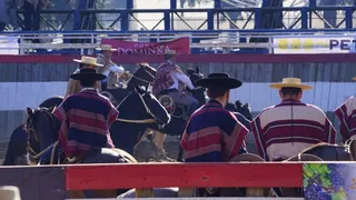 Federación del Rodeo: Nuestros reglamentos resguardan el bienestar animal y sancionan el maltrato