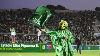 ¿Cuáles son los mejores apodos de animales en el deporte?