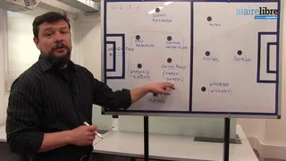 La Pizarra de Burgueño: La fortaleza defensiva de Palmeiras, el próximo rival de Colo Colo