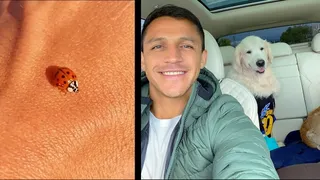 Una chinita, Michael Bublé y David Bisbal: La “artística” publicación de Alexis