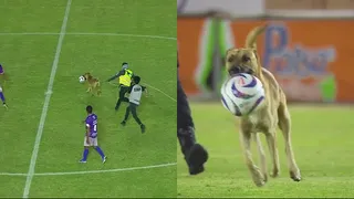 ¡Se los pasó a todos! Un perro sorprendió al apropiarse de la pelota en México