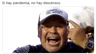 Los memes que dejó el “milagro” de Maradona al “salvar” a Gimnasia del descenso