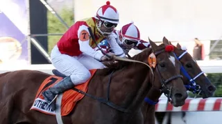 Southern Cat se adjudicó el clásico St. Leger en el Hipódromo Chile