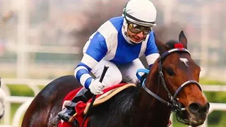 Valparaíso Sporting alista el retorno a la actividad hípica con exigentes medidas sanitarias