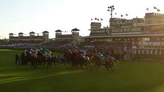 Los 12 ejemplares inscritos para el Ensayo 2019