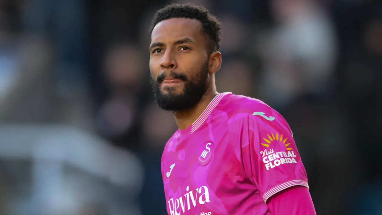 vigouroux sheffield swansea