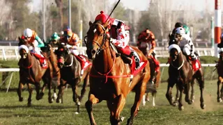 ¿Cuándo se corre el Clásico El Ensayo 2022?