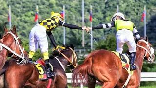 En El Partidor conocimos de la importancia de la crianza en la hípica chilena