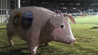El “Chancho Lorenzo” volverá a ser la mascota de Deportes Puerto Montt