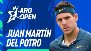 Vuelve la “Torre de Tandil”: Del Potro dejará dos años y medio de inactividad en Buenos Aires