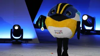 Fiu se erigió como el personaje chileno del año en tradicional encuesta