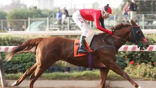 Jinete Juan Muñoz guió a la yegua “La Maru” a conquistar el Clásico Premio Radio Cooperativa