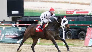 Valparaíso Sporting suspendió las carreras hípicas de este miércoles