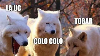 Roberto Tobar fue el blanco de los memes tras el empate de Colo Colo y la UC