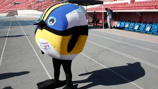 Panam Sports anunció Pichilemu, San Pedro de La Paz y La Pintana como subsedes de Santiago 2023