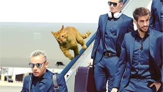 Bayern Munich aún alucina con el gato de la llave ante Besiktas