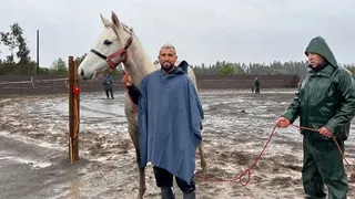 Arturo Vidal puso a la venta su criadero de caballos en millonario precio