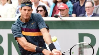 Juan Martín del Potro ganó una dura batalla ante el japonés Nishioka en París