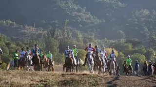 Este sábado se realizará ensayo del Panamericano de Enduro Ecuestre en Llay Llay