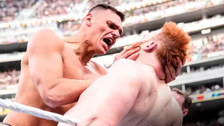 Empresa propietaria de la UFC anunció la adquisición de la WWE