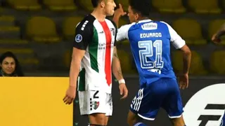 Golpe para Palestino: sanción de Conmebol por gestos racistas de sus hinchas frente a Cruzeiro