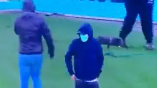 Hinchas de AZ Alkmaar invadieron partido de la liga neerlandesa pese a prohibiciones