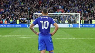 Cardiff City ascendió a la Premier League y sus hinchas celebraron invadiendo la cancha