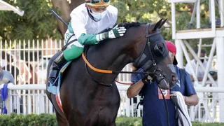 Los mejores caballos del continente se alistan para el Latinoamericano a correrse en el Hipódromo Chile