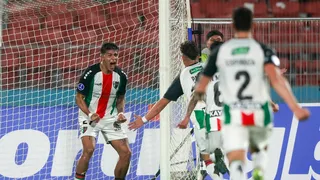 ¿Quién transmite Palestino vs Cruzeiro en Chile? TV, streaming y canal dónde ver el partido