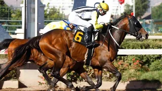 Tardes Deportivas: Repasa toda la actualidad de la hípica nacional en “El Partidor”