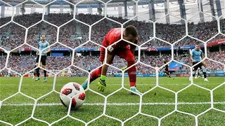 La columna de Rodrigo Goldberg: La mentada garra